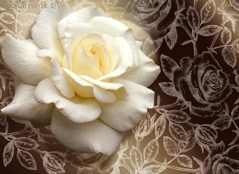 Фотообои De-Art Свет розы